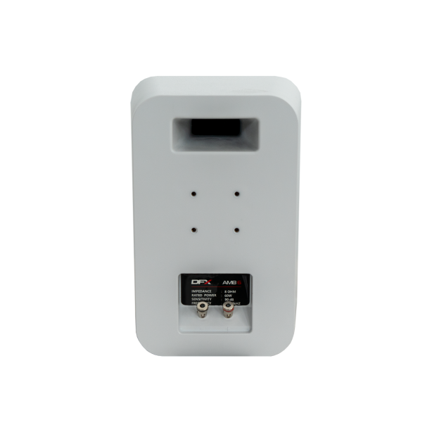 DFX Sound AMB6-W