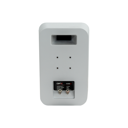 DFX Sound AMB6-W