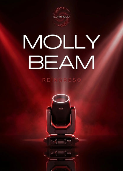Molly Beam Kit En Anvil X6 Unidades